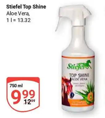 Globus Stiefel Top Shine Angebot