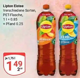 Globus Lipton Eistee Angebot