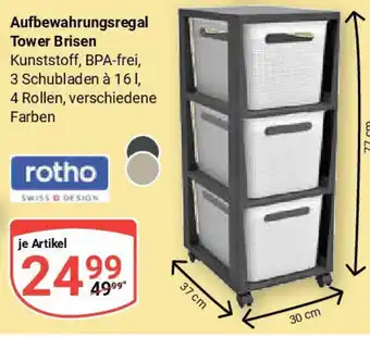 Globus Aufbewahrungsregal Tower Brisen rotho Angebot