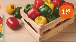 tegut Paprika Mix Angebot