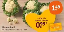 tegut Blumenkohl Angebot