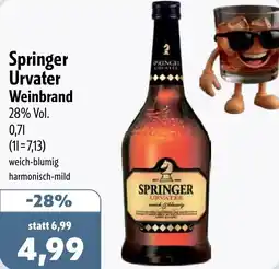 Aktiv Irma Springer Urvater Weinbrand Angebot