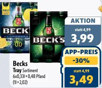 Aktiv Irma Becks Tray Angebot