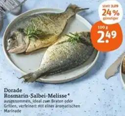 tegut Dorade Rosmarin-Salbei-Melisse Angebot