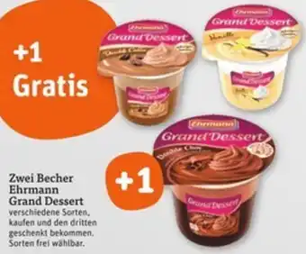 tegut Zwei Becher Ehrmann Grand Dessert Angebot