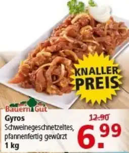 Multi Markt Bauern Gut Gyros Angebot