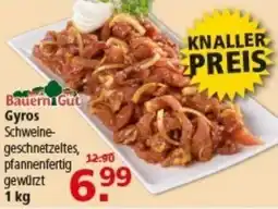 Multi Markt Bauern Gut Gyros Angebot