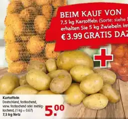 Multi Markt Kartoffeln Angebot