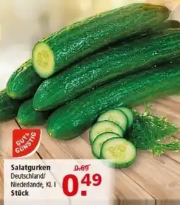 Multi Markt GUT & GÜNSTIG Salatgurken Angebot