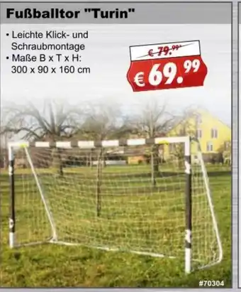 Stabilo Fachmarkt Fußballtor Turin Angebot