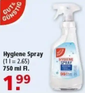 Multi Markt Gut & Günstig Hygiene Spray Angebot