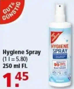 Multi Markt Gut & Günstig Hygiene Spray Angebot