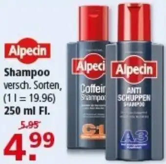 Multi Markt Alpecin Shampoo Angebot