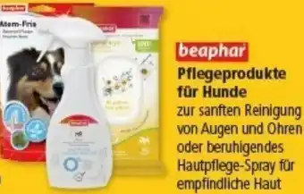 Multi Markt beaphar Pflegeprodukte für Hunde Angebot