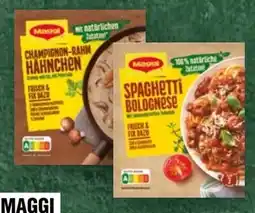Handelshof Maggi Fix & Frisch Angebot