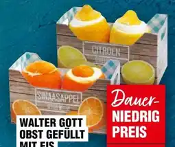 Handelshof Walter Gott Ice Factory Obst Gefüllt Mit Eis Angebot