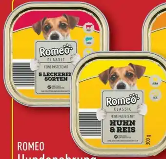 Aldi Nord Romeo Hundenahrung Angebot