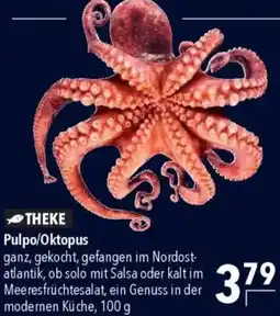 CITTI Markt Pulpo/Oktopus Angebot