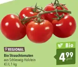 CITTI Markt Bio Strauchtomaten Angebot