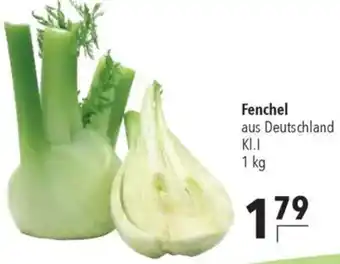 CITTI Markt Fenchel Angebot