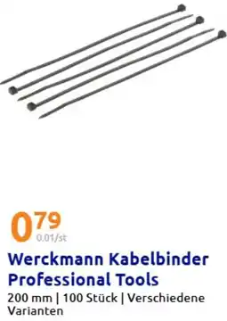 Action Werckmann Kabelbinder Professional Tools Angebot