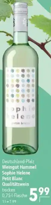 CITTI Markt Weingut Hammel Sophie Helene Petit Blanc Qualitätswein Angebot