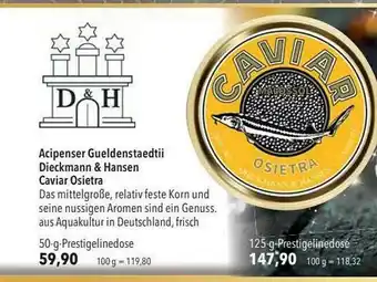 CITTI Markt Acipenser Gueldenstaedtii Dieckmann & Hansen Caviar Osietra Angebot