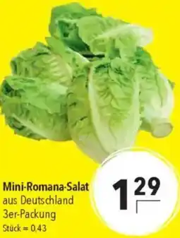 CITTI Markt Mini-Romana-Salat Angebot