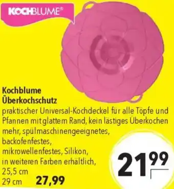 CITTI Markt Kochblume Überkochschutz Angebot