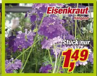 Posten Börse Eisenkraut Hängend Angebot