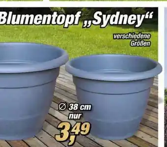 Posten Börse Blumentopf „Sydney” Angebot