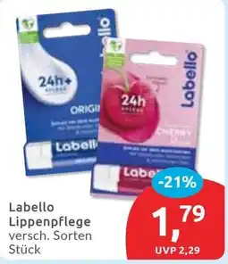 Budni Labello Lippenpflege Angebot