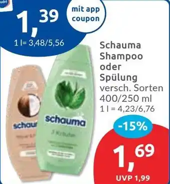 Budni Schauma Shampoo oder Spülung Angebot