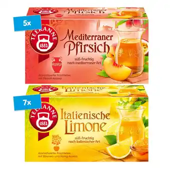 Netto Marken-Discount Teekanne Ländertee verschiedene Sorten 50 g, 12er Pack Angebot