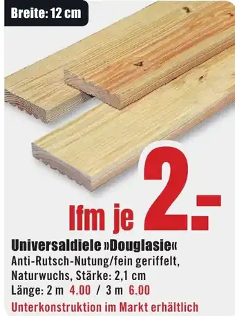 B1 Discount Baumarkt Universaldiele Douglasie Angebot