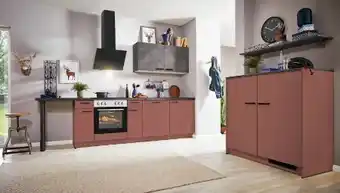 Opti Wohnwelt pino Einbauküche PN105 Angebot