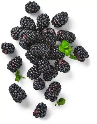 Kaufland Driscoll's Brombeeren Angebot