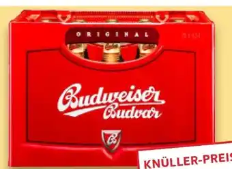 Kaufland Budweiser Budvar (CZ) Lager Angebot