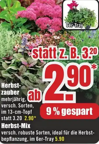 B1 Discount Baumarkt Herbstzauber Angebot