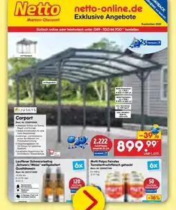 Netto Marken-Discount Juskys carport Angebot