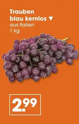 V Markt Trauben blau kernlos Angebot