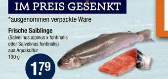 V Markt Frische saiblinge Angebot