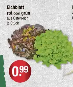 V Markt Eichblatt rot Angebot