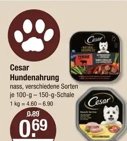 V Markt Cesar hundenahrung Angebot