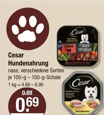 V Markt Cesar hundenahrung Angebot
