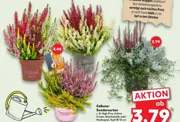 Kaufland High five calluna-sondersorten Angebot
