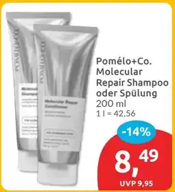 Budni Pomélo+Co. Molecular Repair Shampoo oder Spülung Angebot