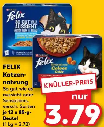 Kaufland FELIX Katzennahrung Angebot