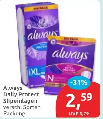 Budni always Daily Protect Slipeinlagen Angebot