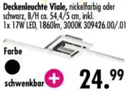 Möbel Boss Deckenleuchte Viale Angebot